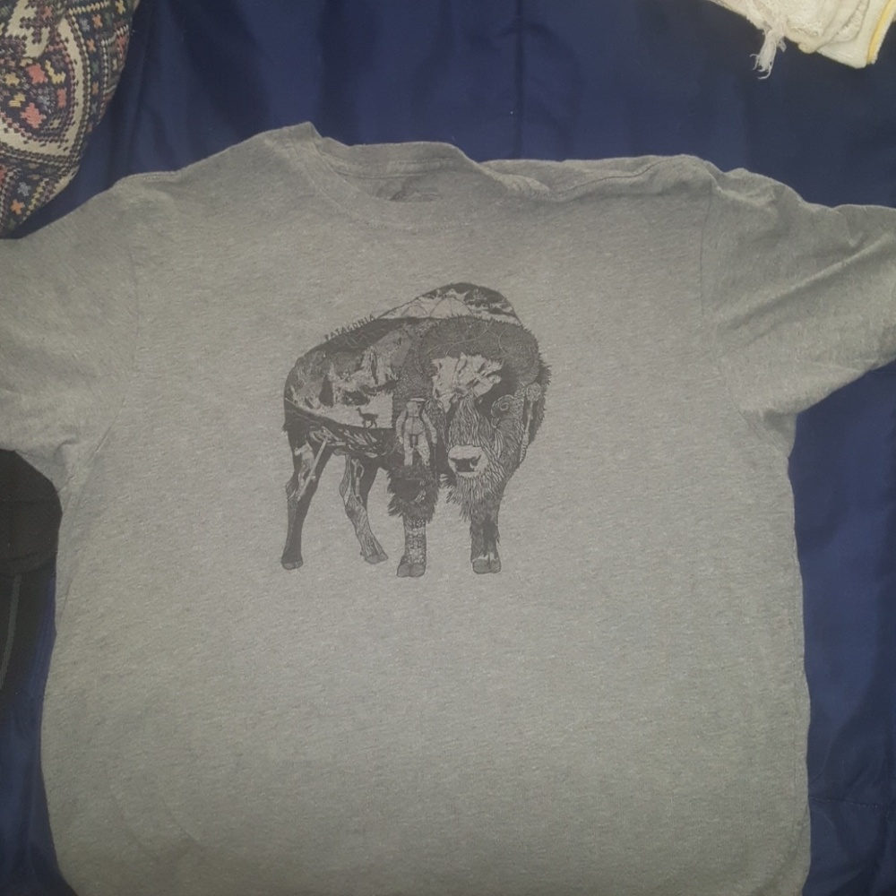 Patagonia tee shirt
